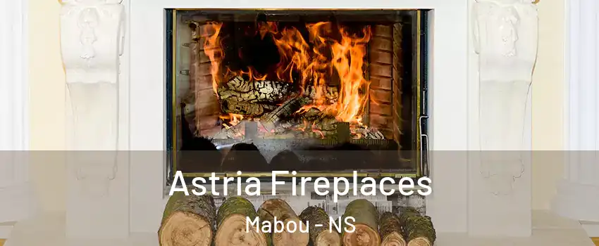  Astria Fireplaces Mabou - NS