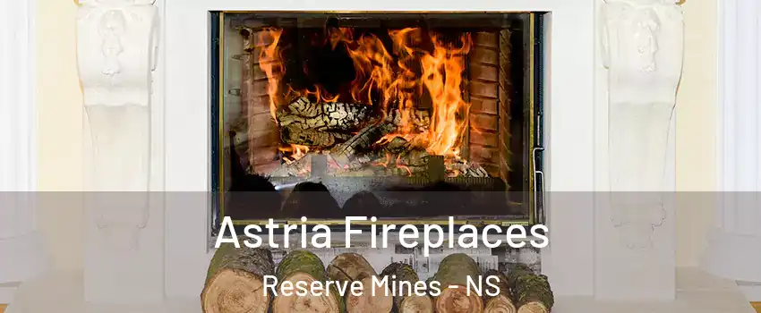  Astria Fireplaces Reserve Mines - NS