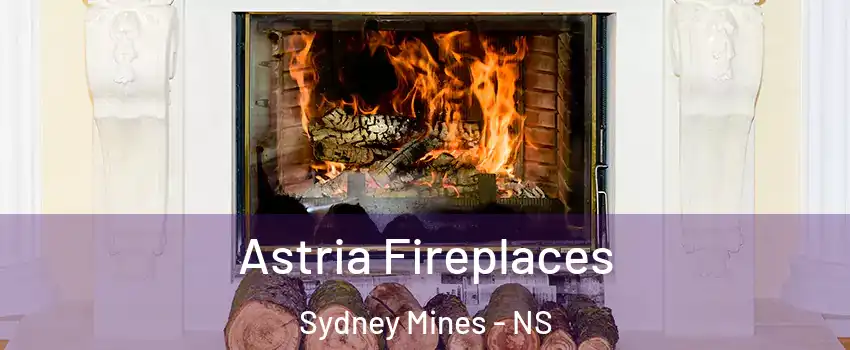  Astria Fireplaces Sydney Mines - NS