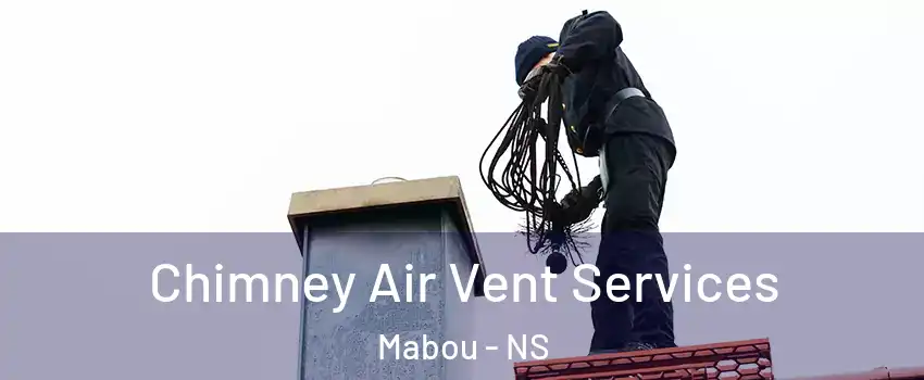  Chimney Air Vent Services Mabou - NS