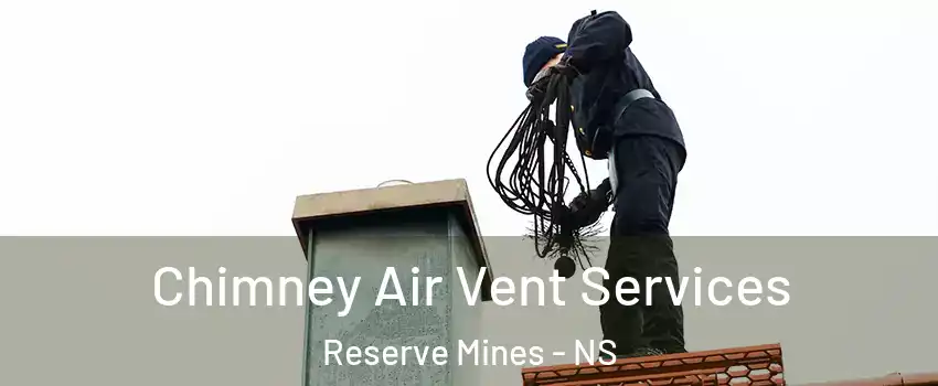  Chimney Air Vent Services Reserve Mines - NS