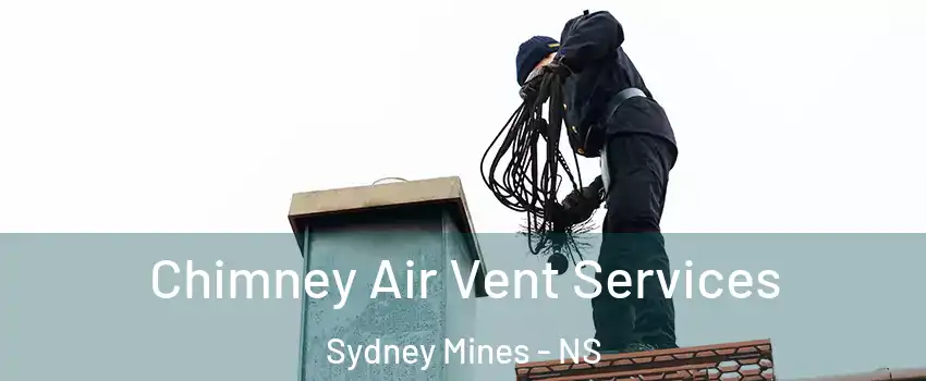  Chimney Air Vent Services Sydney Mines - NS