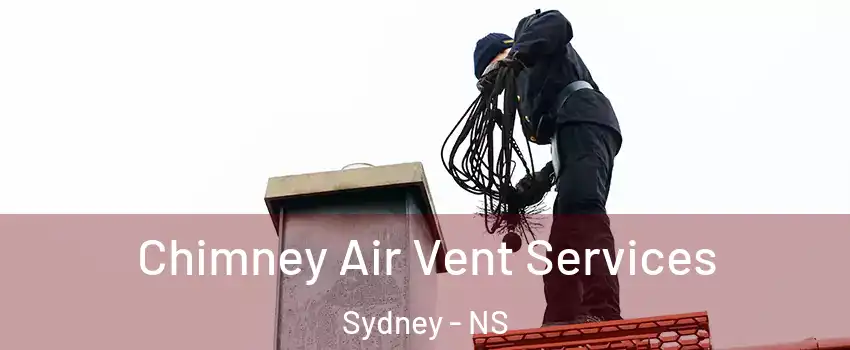  Chimney Air Vent Services Sydney - NS