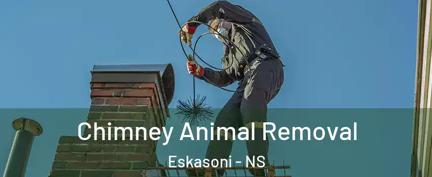 Chimney Animal Removal Eskasoni - NS