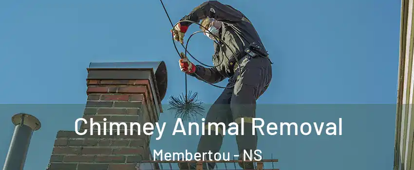 Chimney Animal Removal Membertou - NS