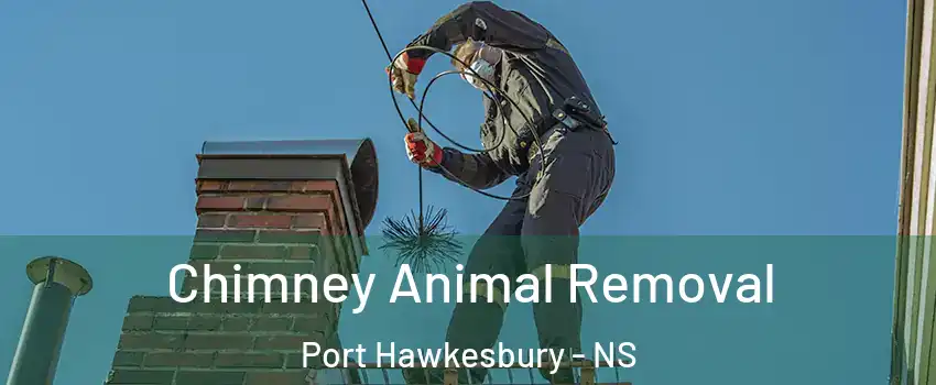 Chimney Animal Removal Port Hawkesbury - NS