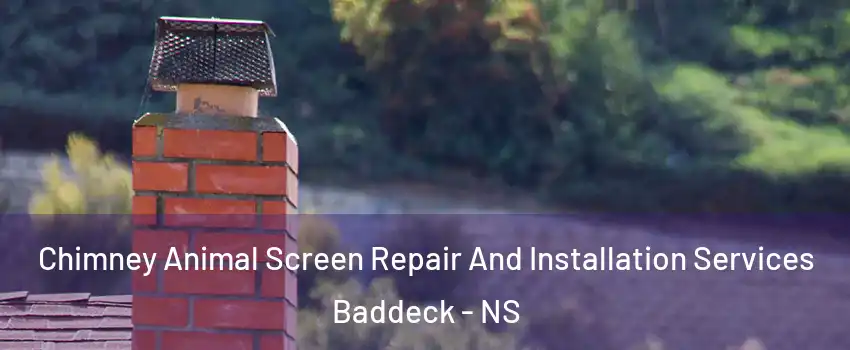  Chimney Animal Screen Repair And Installation Services Baddeck - NS