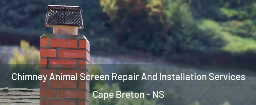  Chimney Animal Screen Repair And Installation Services Cape Breton - NS