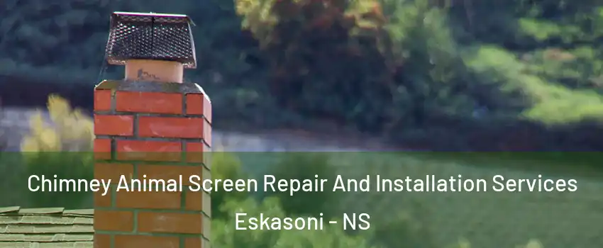  Chimney Animal Screen Repair And Installation Services Eskasoni - NS