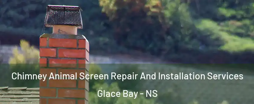  Chimney Animal Screen Repair And Installation Services Glace Bay - NS