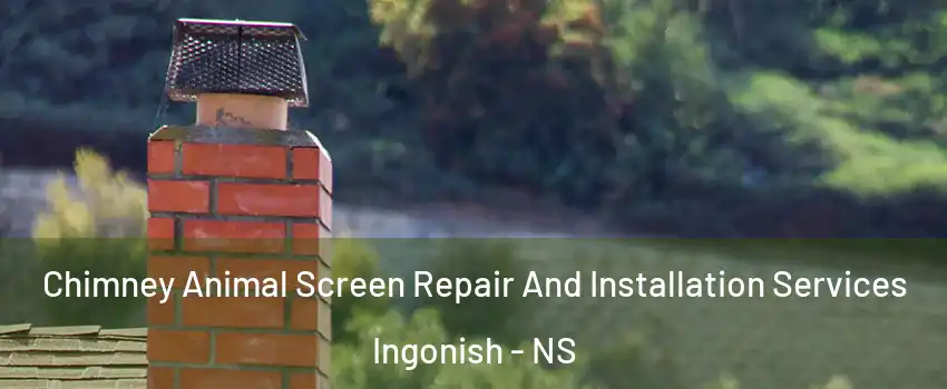  Chimney Animal Screen Repair And Installation Services Ingonish - NS