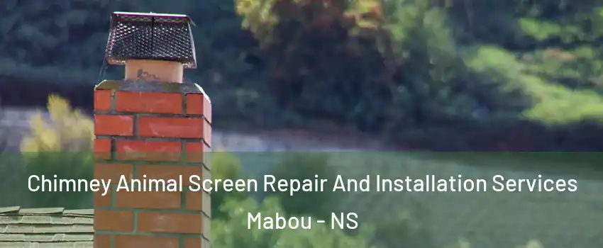  Chimney Animal Screen Repair And Installation Services Mabou - NS