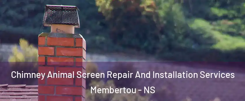  Chimney Animal Screen Repair And Installation Services Membertou - NS