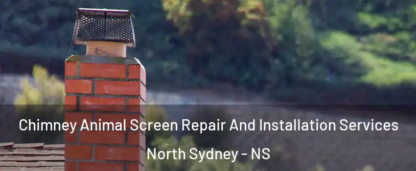  Chimney Animal Screen Repair And Installation Services North Sydney - NS