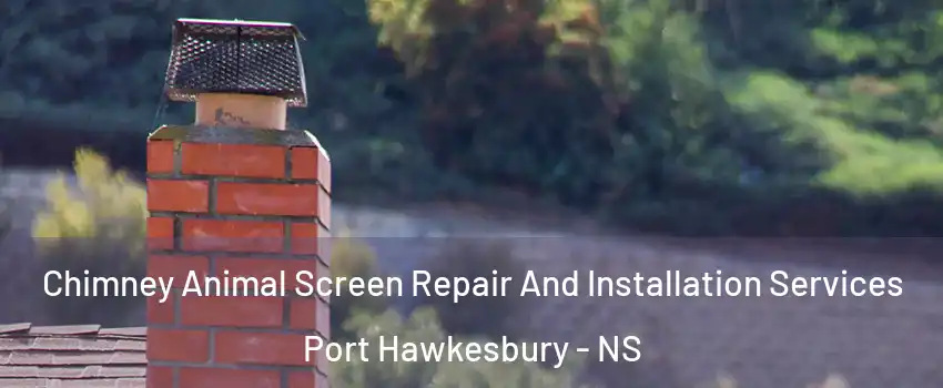  Chimney Animal Screen Repair And Installation Services Port Hawkesbury - NS