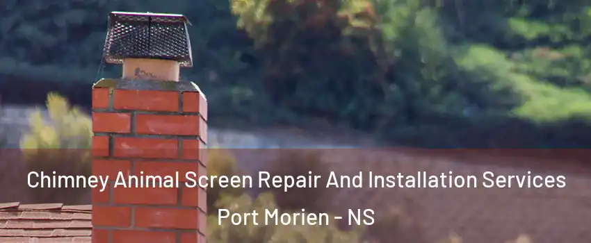  Chimney Animal Screen Repair And Installation Services Port Morien - NS