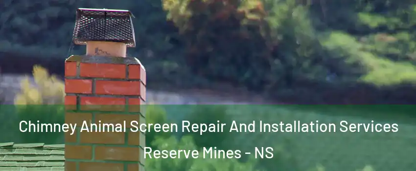  Chimney Animal Screen Repair And Installation Services Reserve Mines - NS