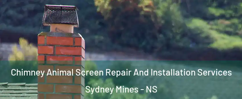 Chimney Animal Screen Repair And Installation Services Sydney Mines - NS
