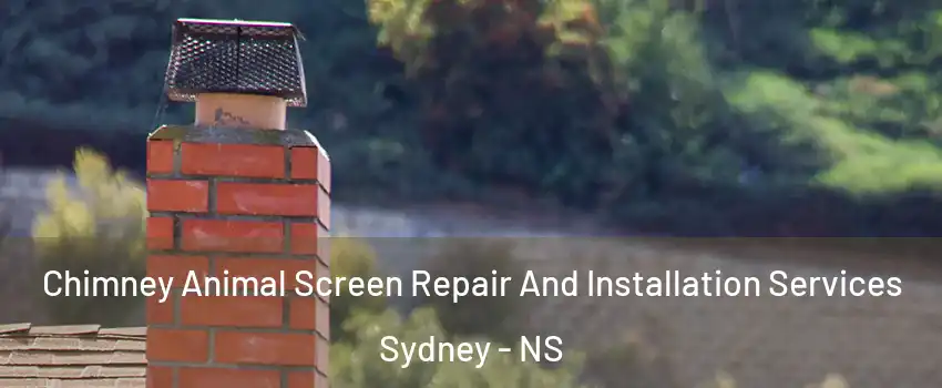  Chimney Animal Screen Repair And Installation Services Sydney - NS