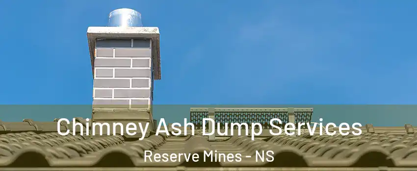  Chimney Ash Dump Services Reserve Mines - NS