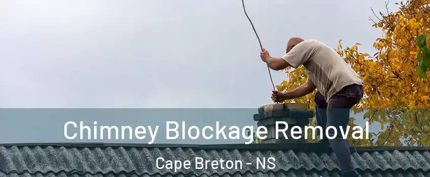  Chimney Blockage Removal Cape Breton - NS