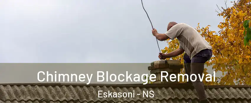  Chimney Blockage Removal Eskasoni - NS