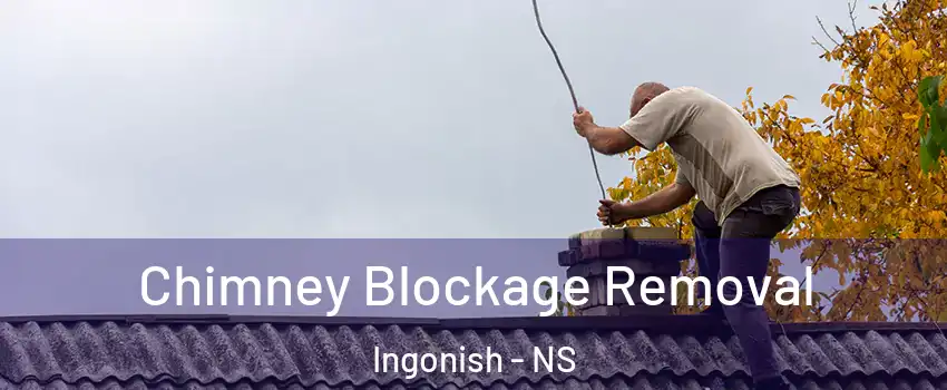  Chimney Blockage Removal Ingonish - NS