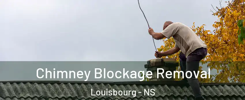  Chimney Blockage Removal Louisbourg - NS