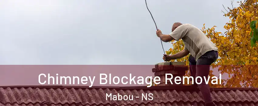  Chimney Blockage Removal Mabou - NS