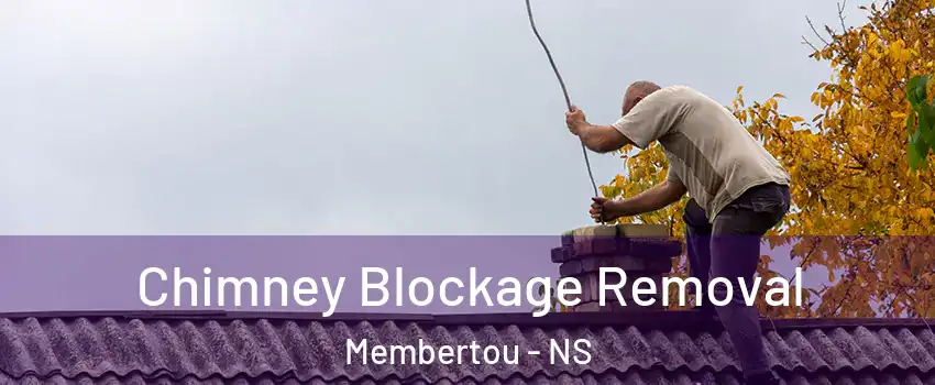 Chimney Blockage Removal Membertou - NS