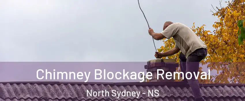  Chimney Blockage Removal North Sydney - NS
