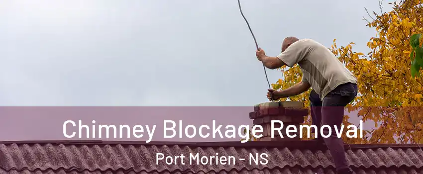  Chimney Blockage Removal Port Morien - NS
