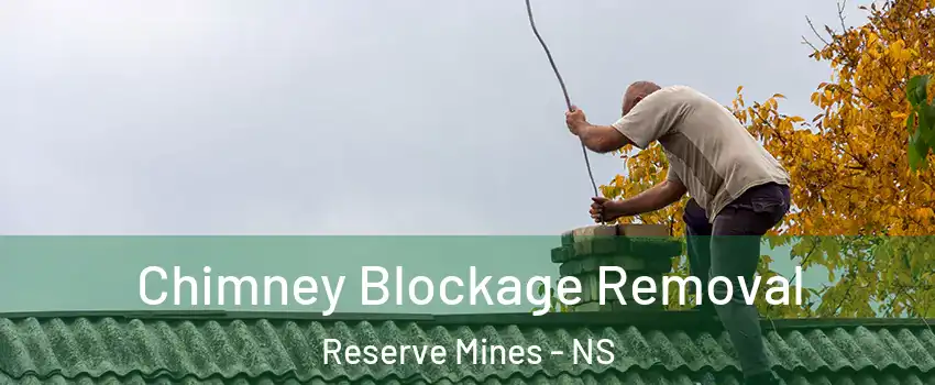  Chimney Blockage Removal Reserve Mines - NS