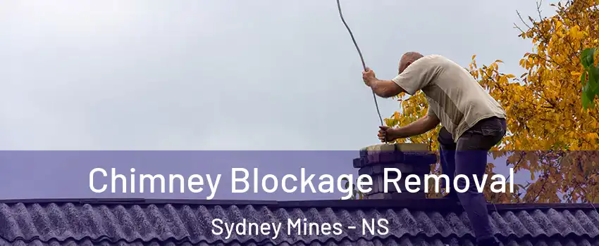  Chimney Blockage Removal Sydney Mines - NS