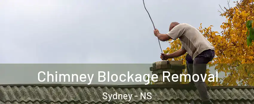  Chimney Blockage Removal Sydney - NS