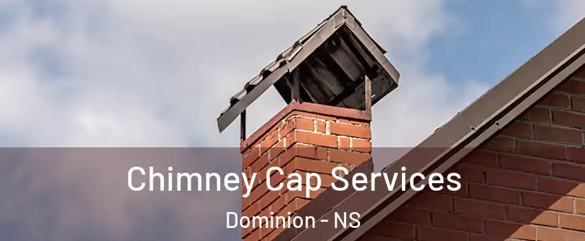  Chimney Cap Services Dominion - NS