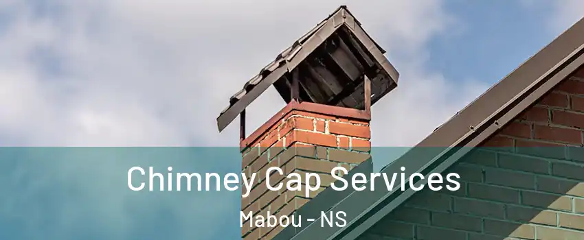  Chimney Cap Services Mabou - NS