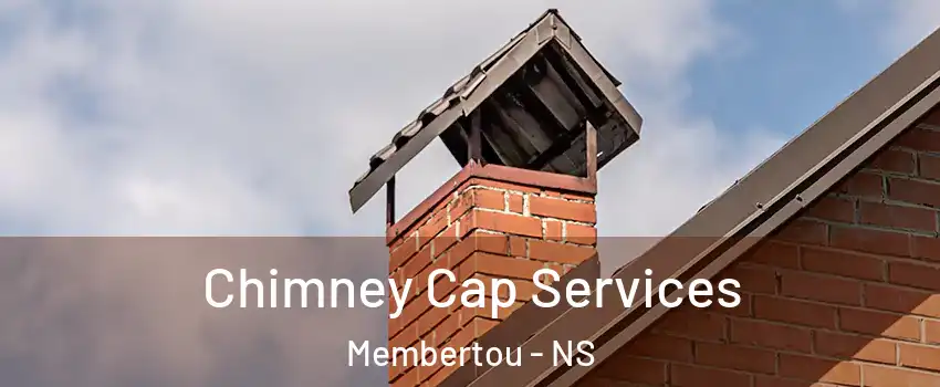  Chimney Cap Services Membertou - NS