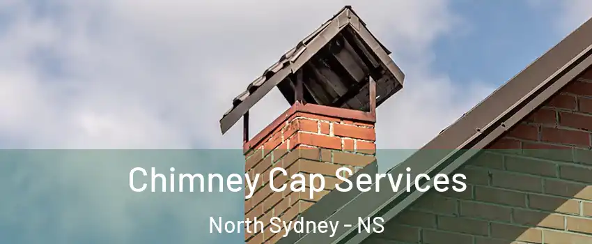  Chimney Cap Services North Sydney - NS