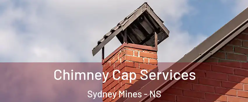  Chimney Cap Services Sydney Mines - NS