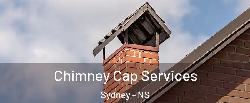  Chimney Cap Services Sydney - NS