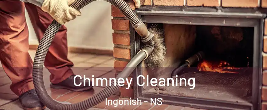  Chimney Cleaning Ingonish - NS