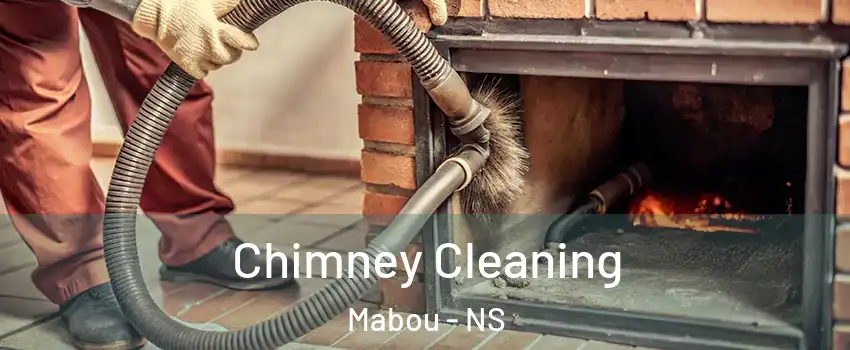  Chimney Cleaning Mabou - NS
