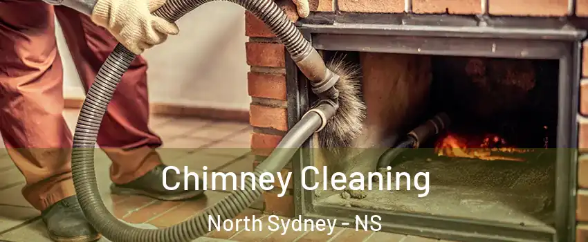 Chimney Cleaning North Sydney - NS
