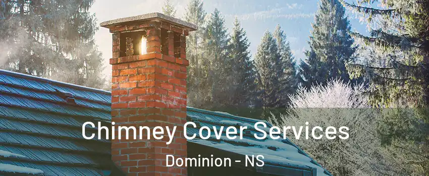  Chimney Cover Services Dominion - NS