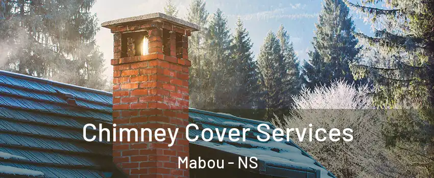  Chimney Cover Services Mabou - NS