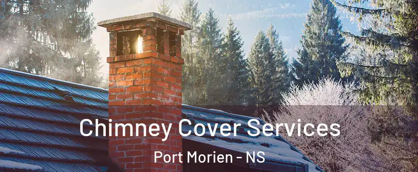  Chimney Cover Services Port Morien - NS