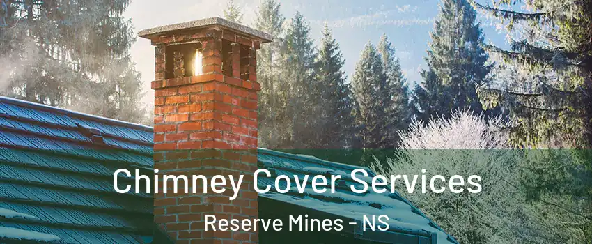  Chimney Cover Services Reserve Mines - NS