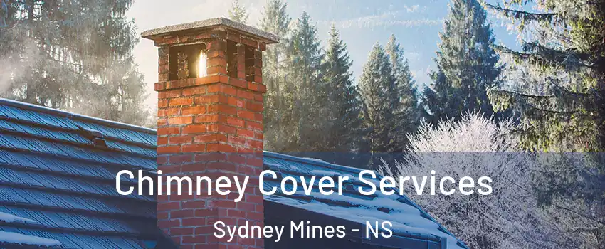  Chimney Cover Services Sydney Mines - NS