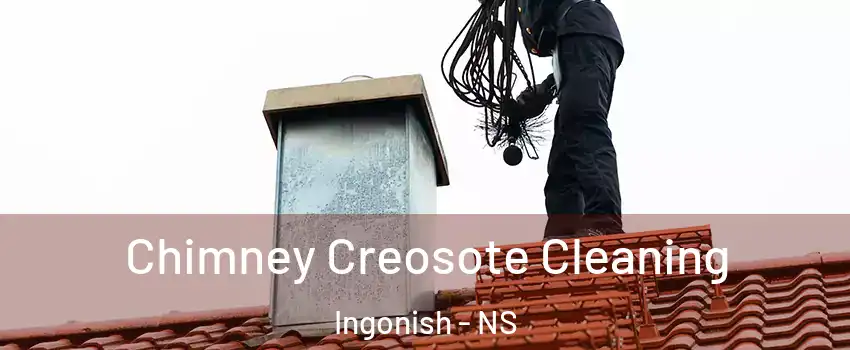  Chimney Creosote Cleaning Ingonish - NS